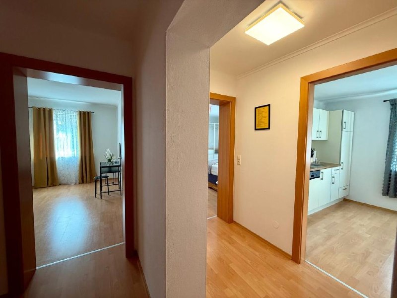 Hallway with rooms and kitchen Apartment D01